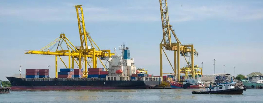 若何应对疫情下的海运市场困境？