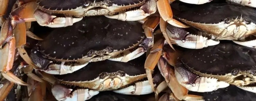 水产进口：海鲜进口从香港中转内地若何清关？