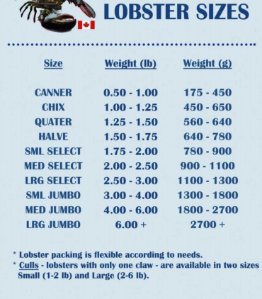 18新利LUCK·(中国区)官方网站