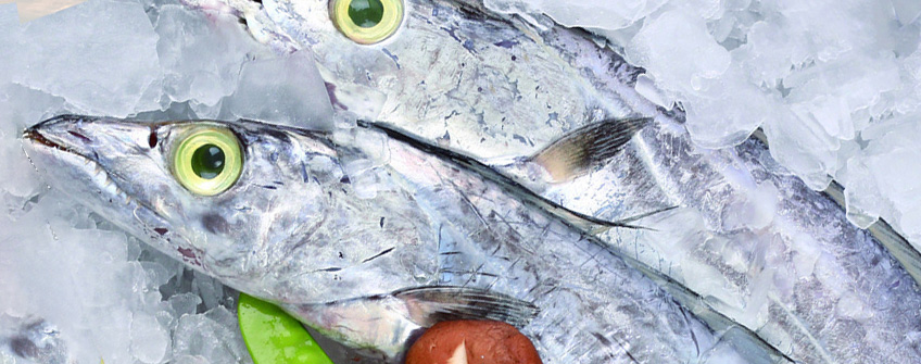 冻带鱼进口报关当苦衷项？