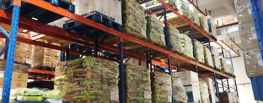  进口宠物粮若何挑？