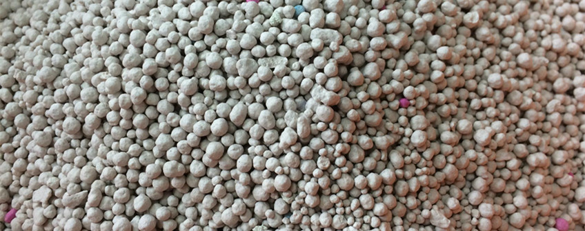 猫砂从国表若何进口到国内？