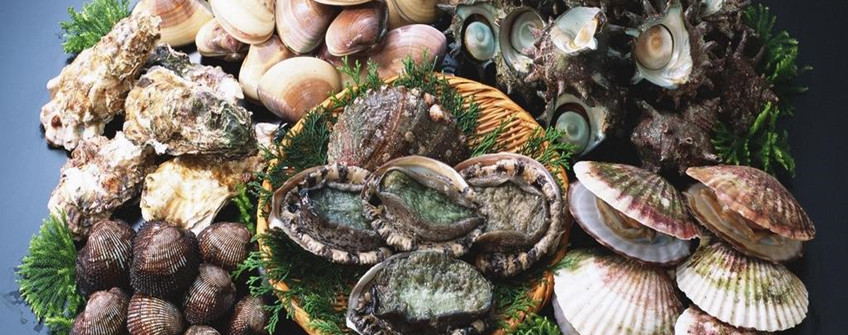 海鲜怎么进口报关？有哪些当苦衷项？